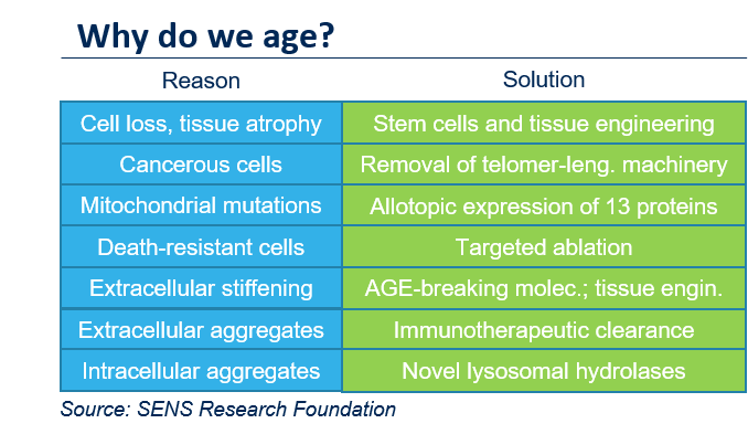 There are only 7 reasons why we age and they all appear to be fixable…